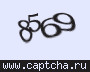 Liczba do wpisania