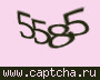 Liczba do wpisania