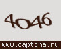 Liczba do wpisania