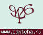 Liczba do wpisania