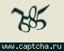 Liczba do wpisania