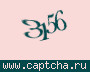 Liczba do wpisania