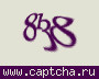 Liczba do wpisania