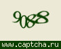 Liczba do wpisania