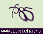 Liczba do wpisania