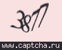 Liczba do wpisania