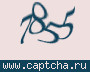 Liczba do wpisania