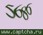 Liczba do wpisania