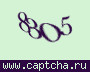 Liczba do wpisania