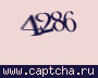 Liczba do wpisania