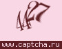 Liczba do wpisania